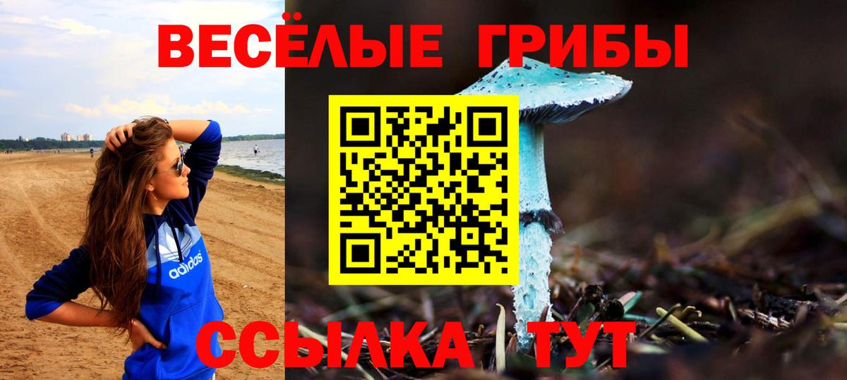 Галлюциногенные грибы Psilocybe  Вход с VPN  Обнинск  Галлюциногенные грибы Psilocybe 