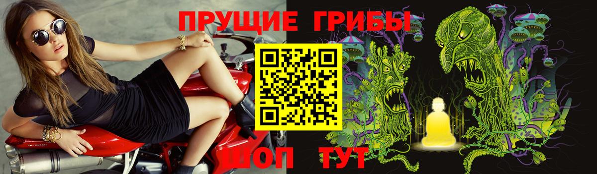 Псилоцибиновые грибы ЛСД Обнинск